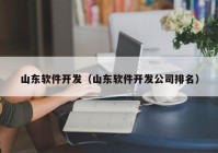 山东软件开发（山东软件开发公司排名）