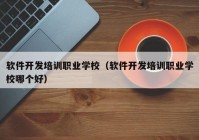 软件开发培训职业学校（软件开发培训职业学校哪个好）