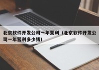 北京软件开发公司一年营利（北京软件开发公司一年营利多少钱）