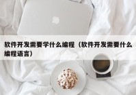 软件开发需要学什么编程（软件开发需要什么编程语言）